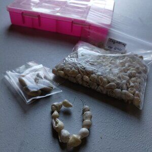 Lot #4 beads for crafting with case